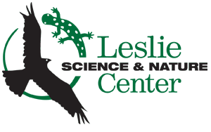 Leslie Logo